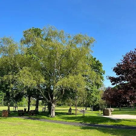 'maigue View' By The River Croom