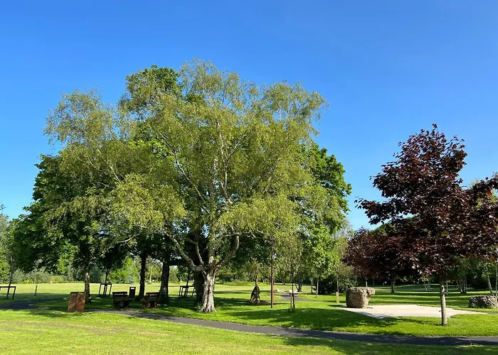 'maigue View' By The River Croom